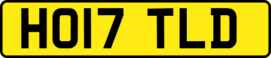 HO17TLD