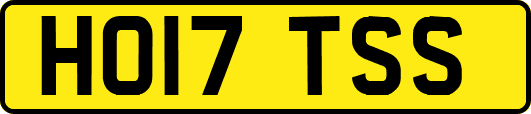 HO17TSS