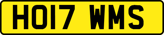 HO17WMS