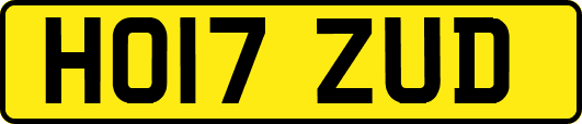 HO17ZUD