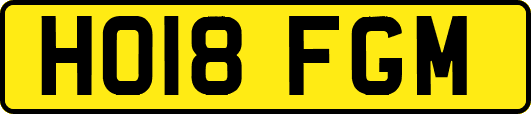 HO18FGM