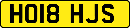 HO18HJS