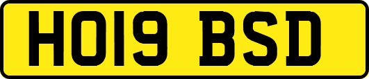 HO19BSD