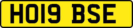 HO19BSE