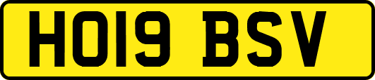 HO19BSV