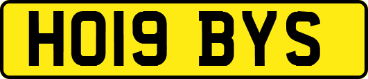 HO19BYS