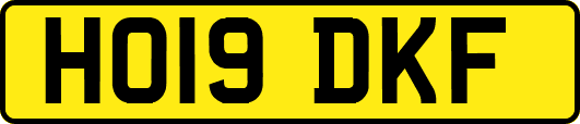 HO19DKF