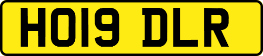 HO19DLR