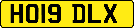 HO19DLX