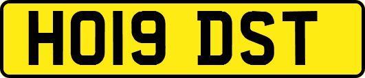 HO19DST