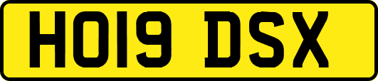 HO19DSX