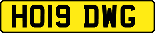 HO19DWG