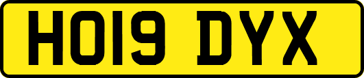 HO19DYX