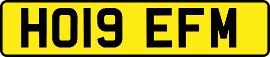 HO19EFM