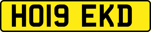 HO19EKD