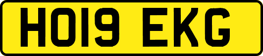 HO19EKG