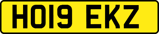 HO19EKZ