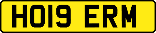 HO19ERM