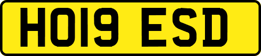 HO19ESD