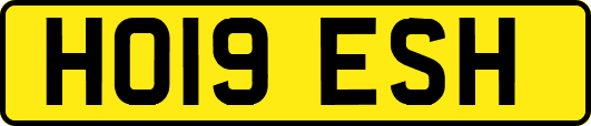 HO19ESH