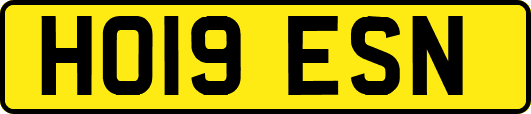 HO19ESN