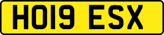 HO19ESX