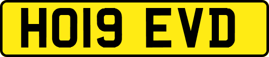 HO19EVD