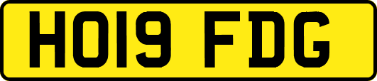 HO19FDG