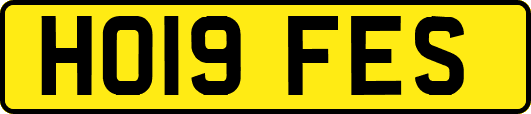 HO19FES