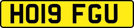 HO19FGU