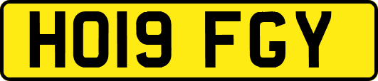 HO19FGY