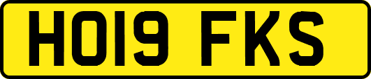 HO19FKS