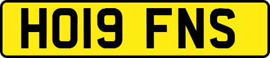 HO19FNS