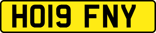 HO19FNY