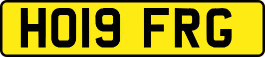 HO19FRG