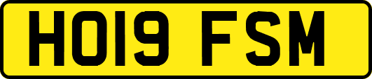 HO19FSM