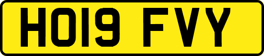 HO19FVY