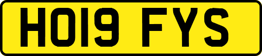 HO19FYS