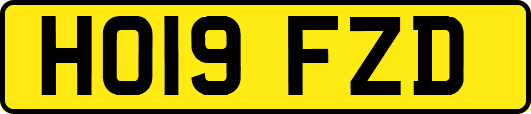 HO19FZD