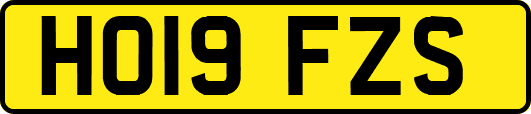 HO19FZS