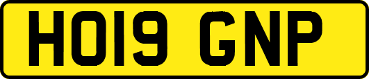 HO19GNP