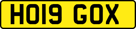 HO19GOX