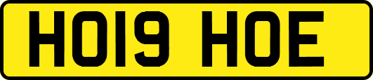 HO19HOE