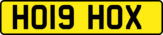 HO19HOX