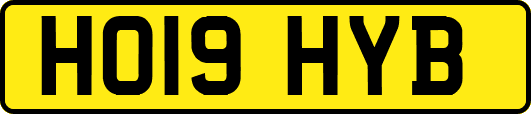 HO19HYB