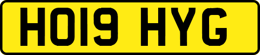 HO19HYG