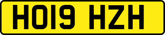 HO19HZH