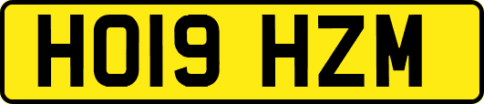 HO19HZM