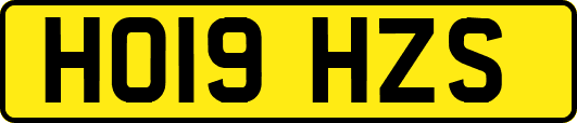 HO19HZS