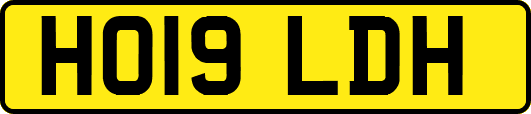 HO19LDH